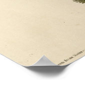 オードボンズ・バード・オブ・アメリカのコロンビア・ジェイ ポスター (角)