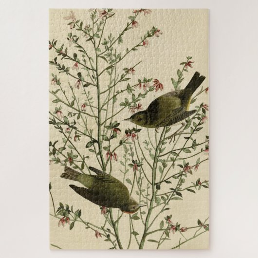 オードボンズ・バード・オブ・アメリカ ジグソーパズル (縦)