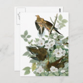 オードボンズ・モーニング・ドーブ ポストカード (正面/裏面)