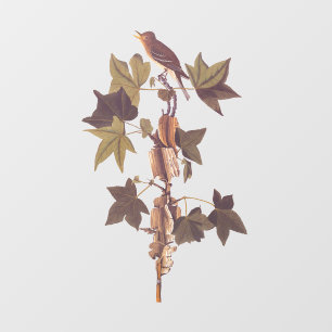 オードボントレイルズフライキャッチャー松鳥 ウィンドウサイン