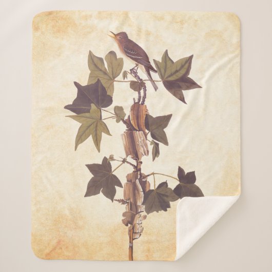 オードボントレイルズフライキャッチャー松鳥 シェルパブランケット (正面)