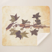 オードボントレイルズフライキャッチャー松鳥 シェルパブランケット (正面(横))