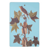 オードボントレイルズフライキャッチャー松鳥 ミニクリップボード (裏面)