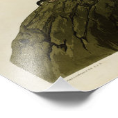 オードボンバード・オブ・アメリカのカリフォルニアのハゲワシ フォトプリント            (角)