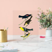 オードボンバード – スターリングオリオールトロピアル アクリルサイン (ウェディング)