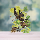 オードボンバード – ナイトホーク アクリルサイン (ニュートラル)