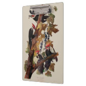 オードボンパイレーテッドウッドペッカ絵画ーの鳥 クリップボード (左)