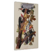 オードボンパイレーテッドウッドペッカ絵画ーの鳥 クリップボード (右)