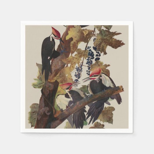 オードボンパイレーテッドウッドペッカ絵画ーの鳥 スタンダードカクテルナプキン (正面)