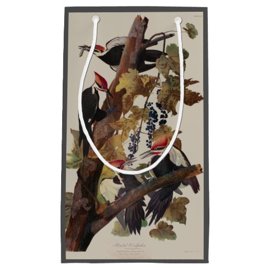 オードボンパイレーテッドウッドペッカ絵画ーの鳥 スモールペーパーバッグ (正面)