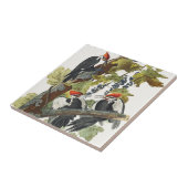 オードボンパイレーテッドウッドペッカ絵画ーの鳥 タイル (側面)