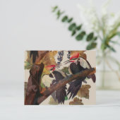 オードボンパイレーテッドウッドペッカ絵画ーの鳥 ポストカード (スタンド正面)