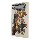 オードボンパイレーテッドウッドペッカ絵画ーの鳥 ミニクリップボード (アングル2)