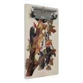 オードボンパイレーテッドウッドペッカ絵画ーの鳥 ミニクリップボード (アングル)