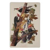 オードボンパイレーテッドウッドペッカ絵画ーの鳥 ミニクリップボード (裏面)