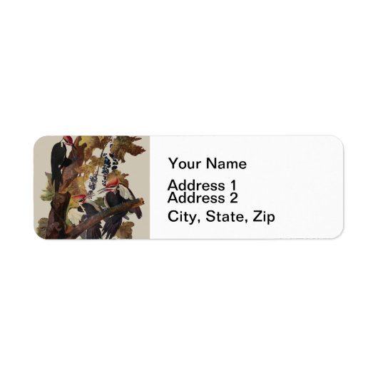 オードボンパイレーテッドウッドペッカ絵画ーの鳥 ラベル (正面)