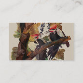 オードボンパイレーテッドウッドペッカ絵画ーの鳥 名刺 (裏面)