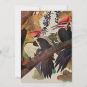 オードボンパイレーテッドウッドペッカ絵画ーの鳥 招待状 (裏面)