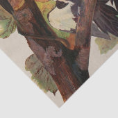 オードボンパイレーテッドウッドペッカ絵画ーの鳥 薄葉紙 (詳細)