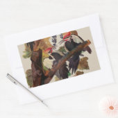 オードボンパイレーテッドウッドペッカ絵画ーの鳥 長方形シール (封筒)