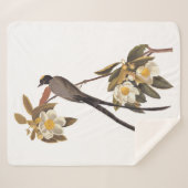 オードボンフォーテイルフライキャッチャーバードヴィンテージアート シェルパブランケット (正面(横))