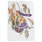 オードボンフロリダスクラブジェイバードオンオレンジツリー ミディアムペーパーバッグ (裏面)