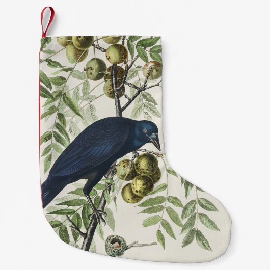 オードボンブラッククロウアメリカンバードイラストレーション スモールクリスマスストッキング (正面)
