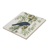 オードボンブラッククロウアメリカンバードイラストレーション タイル (側面)