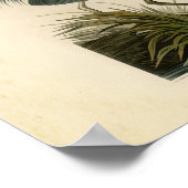 オードボンブルー素晴らしヘロンバード ポスター (角)