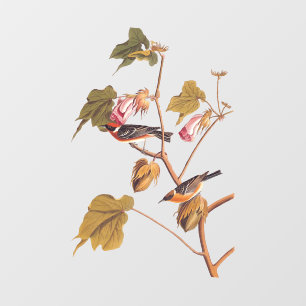 オードボンベイブレストのコットンプラント ウィンドウサイン