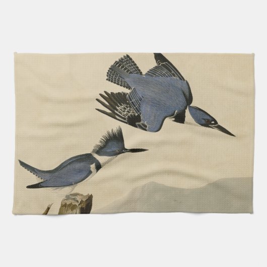 オードボンベルテッドキングフィッシャー野生鳥 キッチンタオル (横)