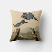 オードボンベルテッドキングフィッシャー野生鳥 クッション (裏面)