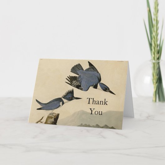 オードボンベルテッドキングフィッシャー野生鳥 サンキューカード (正面)
