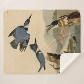 オードボンベルテッドキングフィッシャー野生鳥 シェルパブランケット (正面(横))