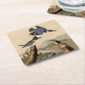 オードボンベルテッドキングフィッシャー野生鳥 スクエアペーパーコースター (アングル)