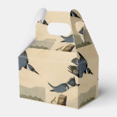 オードボンベルテッドキングフィッシャー野生鳥 フェイバーボックス (裏面サイド)