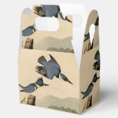 オードボンベルテッドキングフィッシャー野生鳥 フェイバーボックス (オープン)