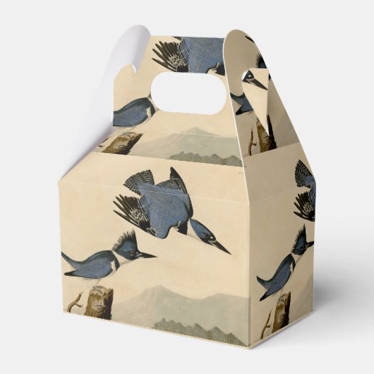 オードボンベルテッドキングフィッシャー野生鳥 フェイバーボックス (正面サイド)