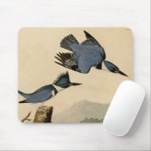 オードボンベルテッドキングフィッシャー野生鳥 マウスパッド (マウス)