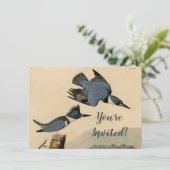 オードボンベルテッドキングフィッシャー野生鳥 招待状 (スタンド正面)