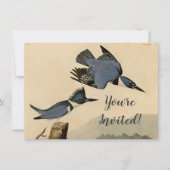 オードボンベルテッドキングフィッシャー野生鳥 招待状 (正面)