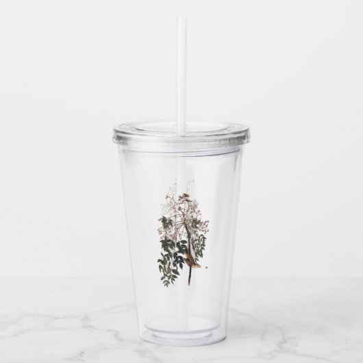 オードボンホワイトアイドヴィレオソングバード アクリルタンブラー (正面)