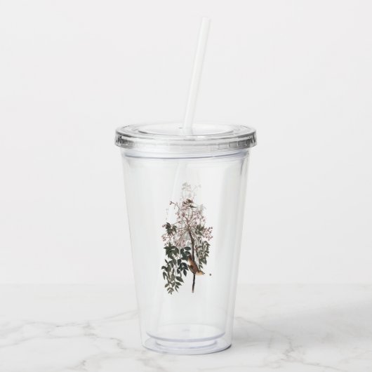 オードボンホワイトアイドヴィレオソングバード アクリルタンブラー (裏面)