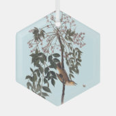 オードボンホワイトアイドヴィレオ歌鳥アートスロー空白の ガラスオーナメント (正面)