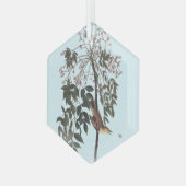 オードボンホワイトアイドヴィレオ歌鳥アートスロー空白の ガラスオーナメント (正面左)