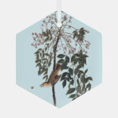 オードボンホワイトアイドヴィレオ歌鳥アートスロー空白の ガラスオーナメント (裏面)