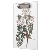 オードボンホワイトアイドヴィレオ歌鳥アート クリップボード (左)