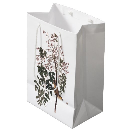 オードボンホワイトアイドヴィレオ歌鳥アート ミディアムペーパーバッグ (正面アングル)