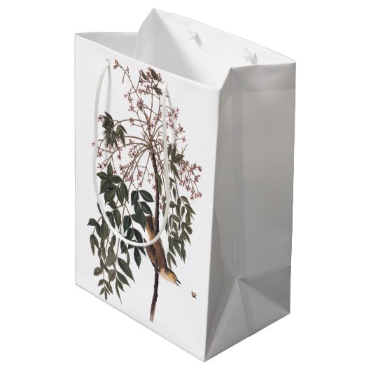 オードボンホワイトアイドヴィレオ歌鳥アート ミディアムペーパーバッグ (裏面アングル)