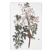 オードボンホワイトアイドヴィレオ歌鳥アート ミニクリップボード (裏面)